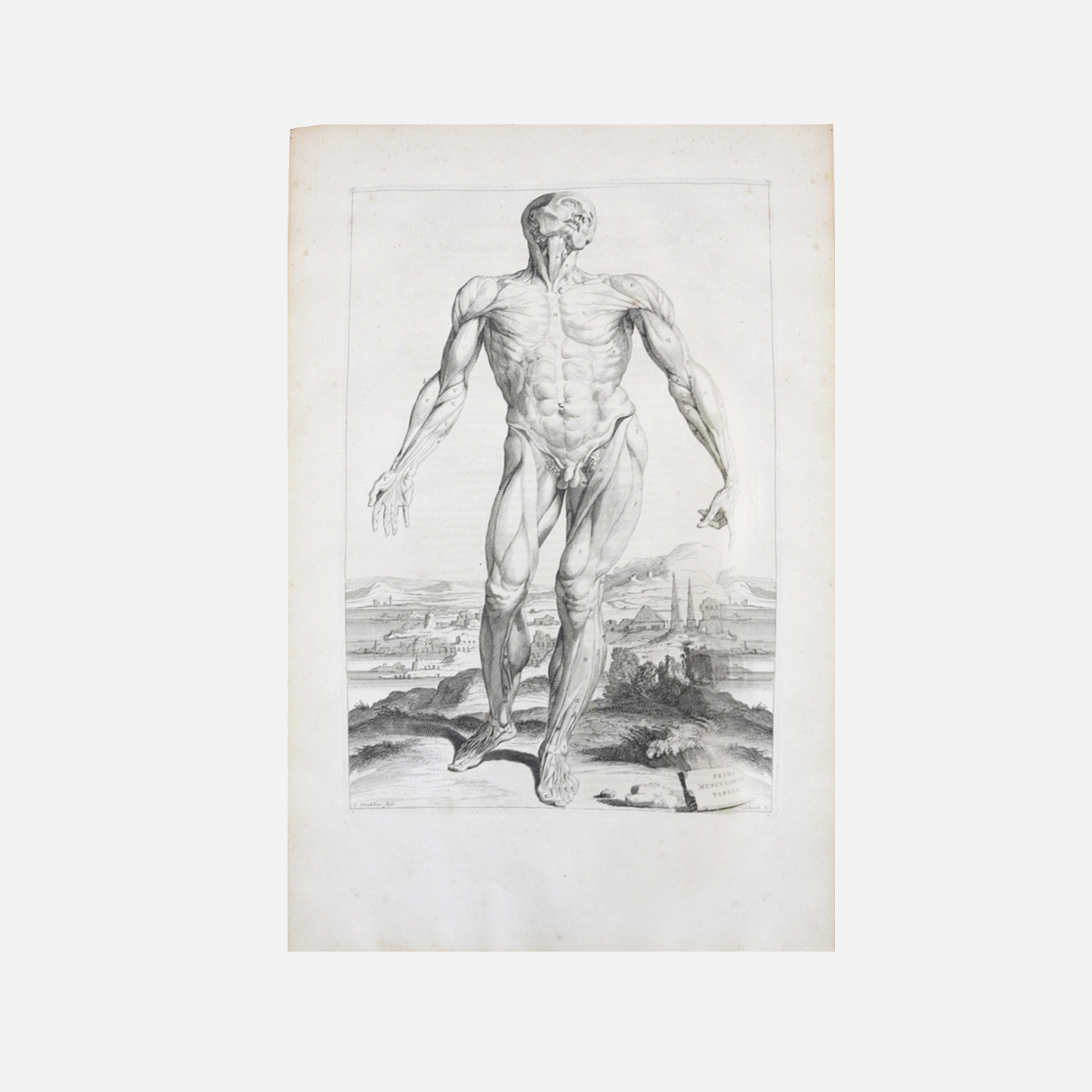 Opera Omnia Anatomica 1725