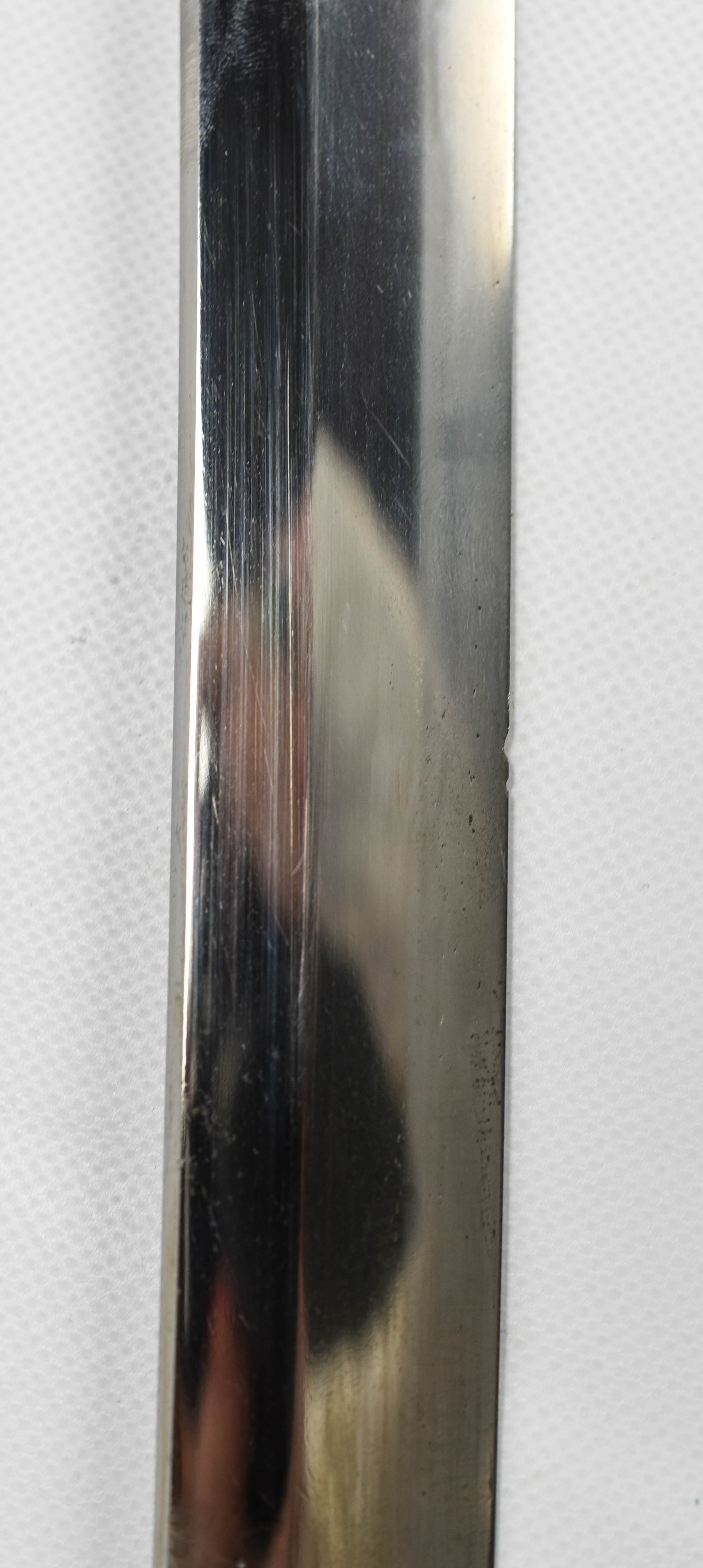 DSC_3495.jpg