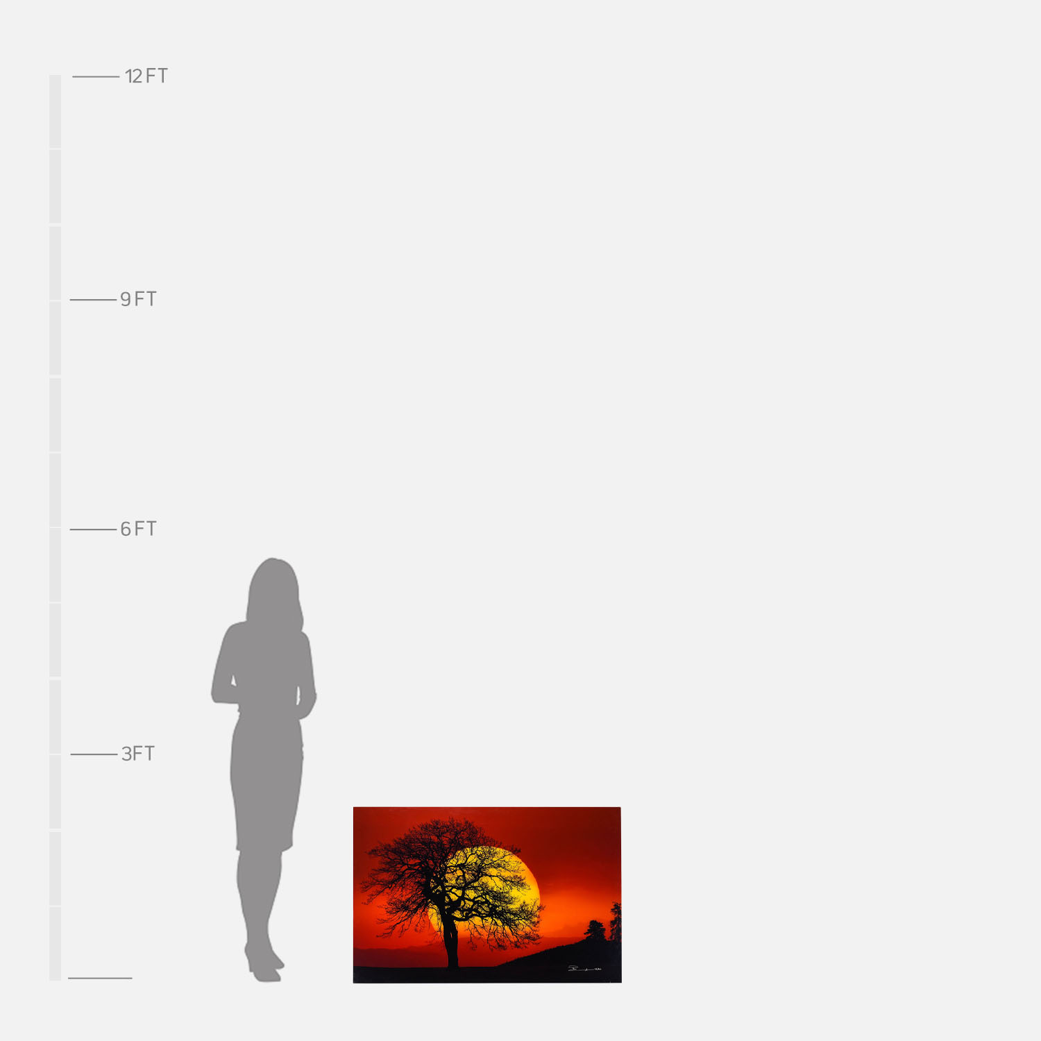 AMR_8374_Scale.jpg