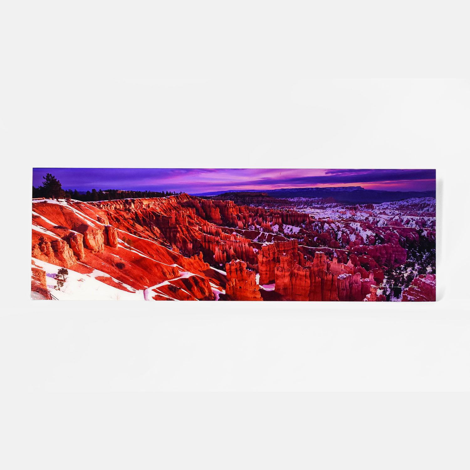 Photograph on Acrylic of Snow Canyon Signed by Peter Lik 39/950