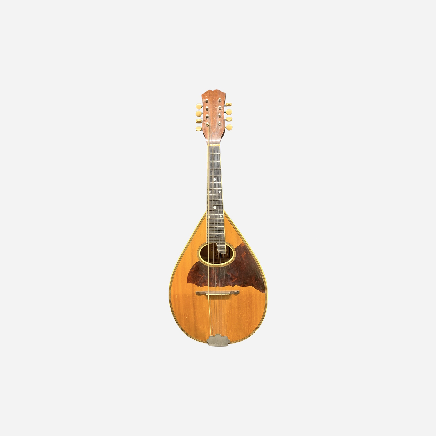 Vintage Mandolin