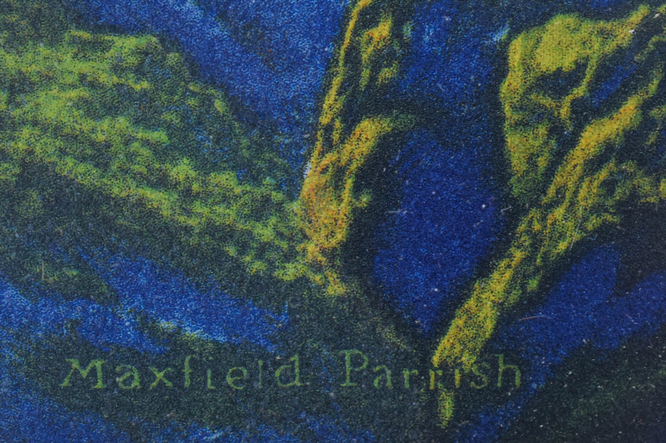 AMR_2507.jpg