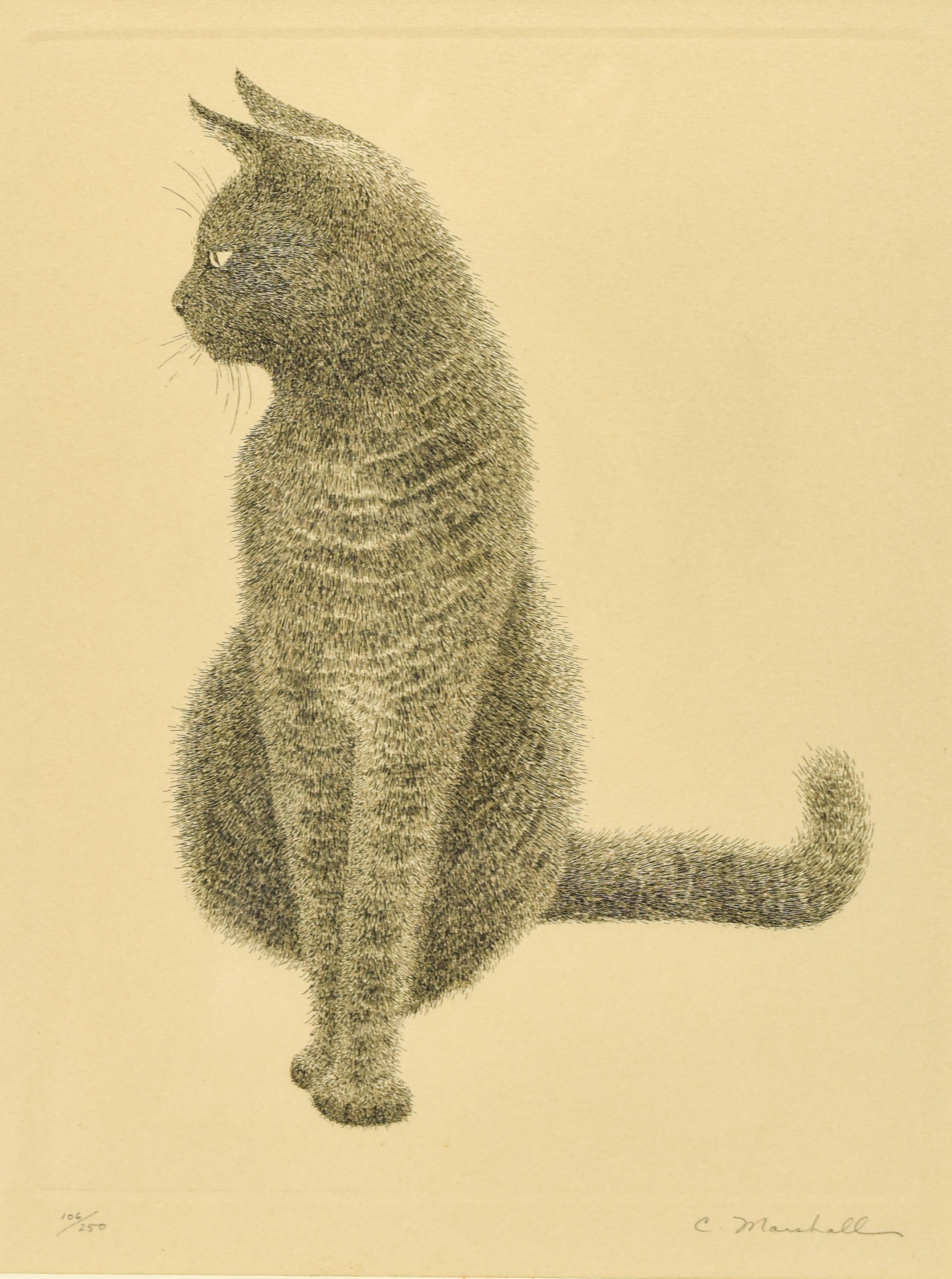 Carolyn Marshall Seated Cat Pencil Signed Etching