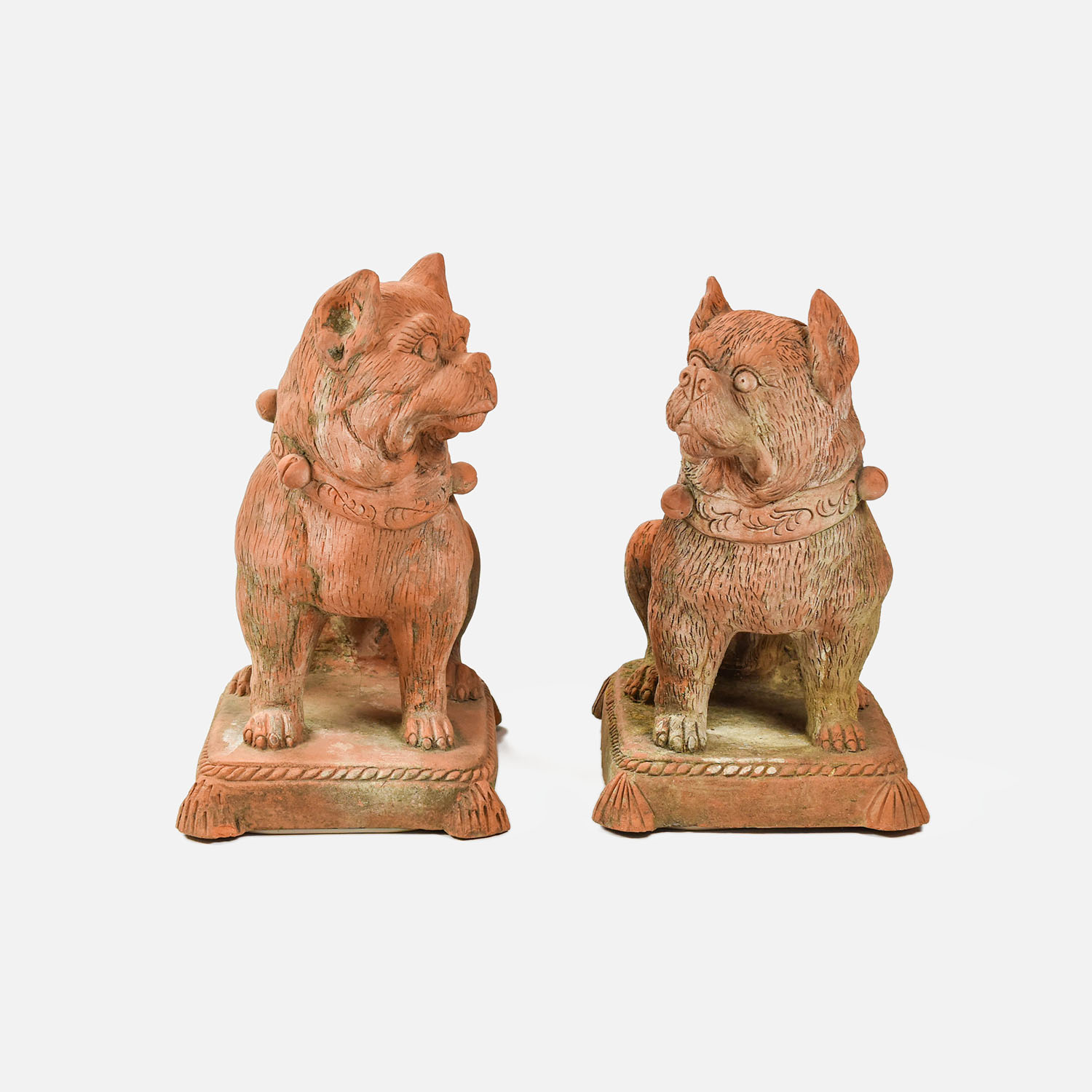 Large Molded Terracotta Pug Dog Statue Figurine Pair